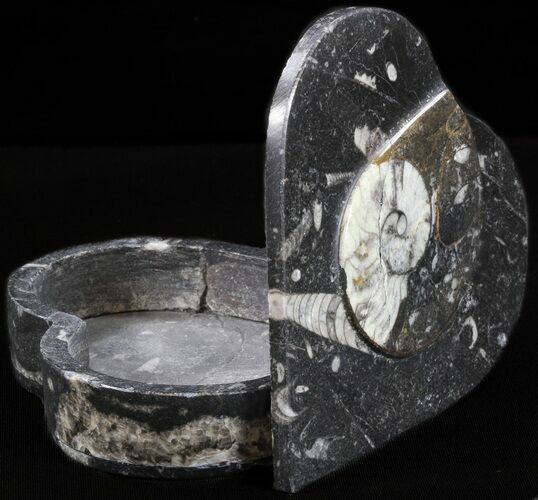 Heart-Shaped Fossil Goniatites Box - (Black) #38001